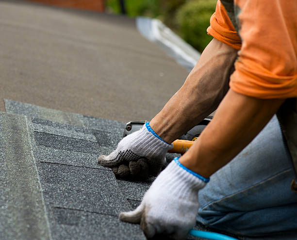 Best New Roof Installation  in Middlebranch, OH
